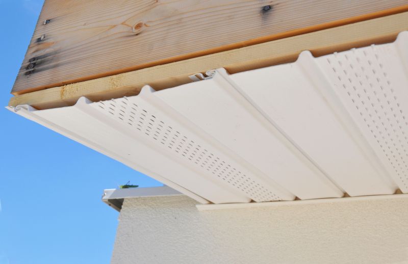 Garage Fascia Replacement in Conroe, TX